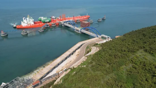 美国WTI原油周二收高0.8%