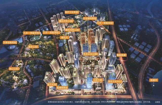 风向标来了！深圳“现象级”大盘入市